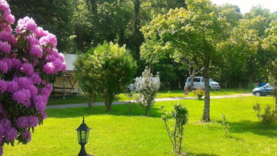 PITCH PACKAGE 1 PEOPLE (1 Tent or 1 Caravan) / 1 Vehicle