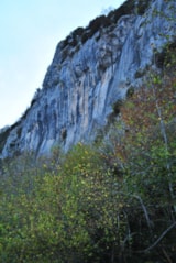 Foto #26 van Camping LA BOURIE