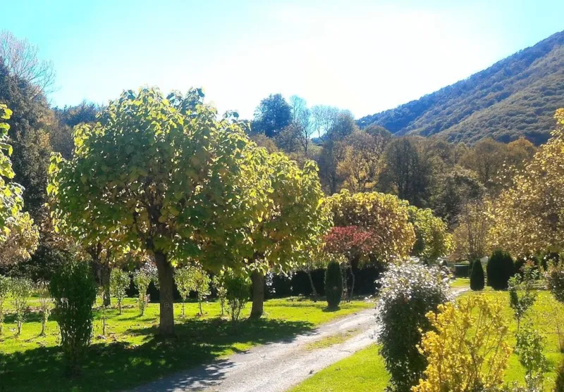 Mobilhome Bilbao 28          /