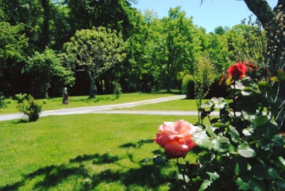 Camping LA BOURIE