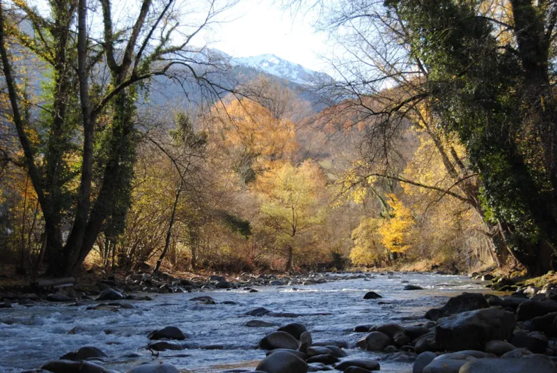 Forfait Emplacement 1 Pers (1 Tente Ou 1 Caravane) / 1 Véhicule