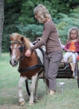 Foto #40 van Camping Nature Le Valenty