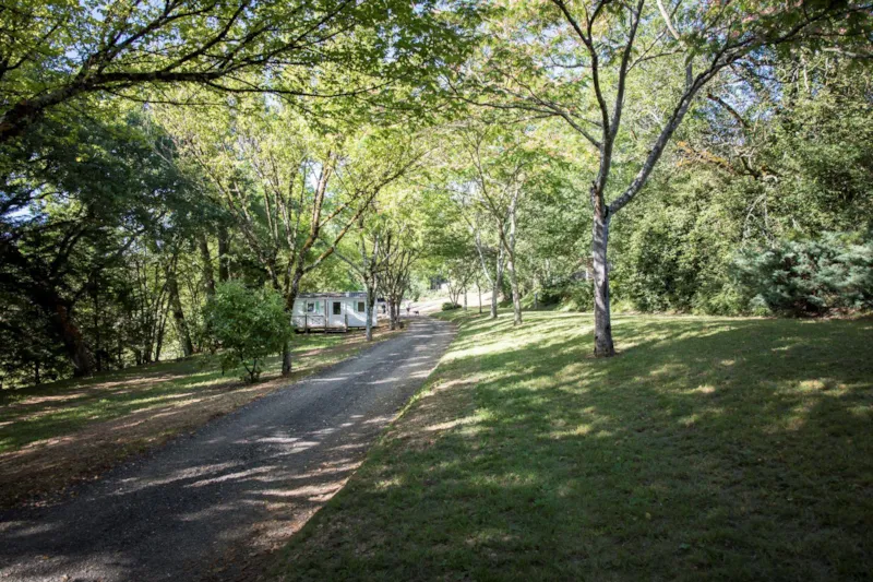 Emplacement (1 Tente, Caravane Ou Camping-Car / 1 Voiture)