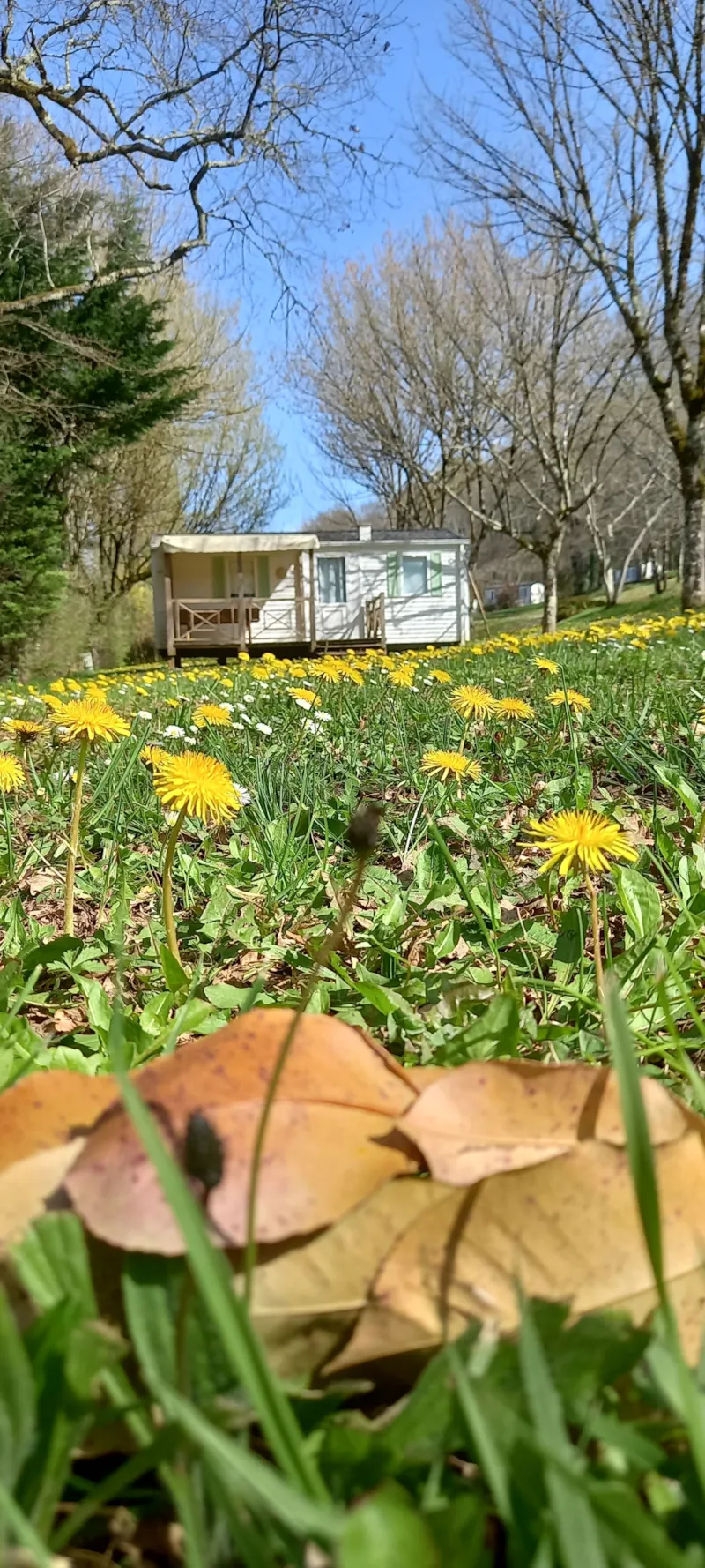 Mobil Home 2 Chambres Lot Famille Climatisé