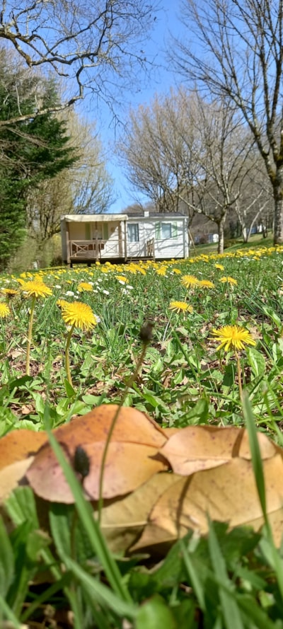 Mobile-home 2 bedrooms  Lot famille  air conditioned