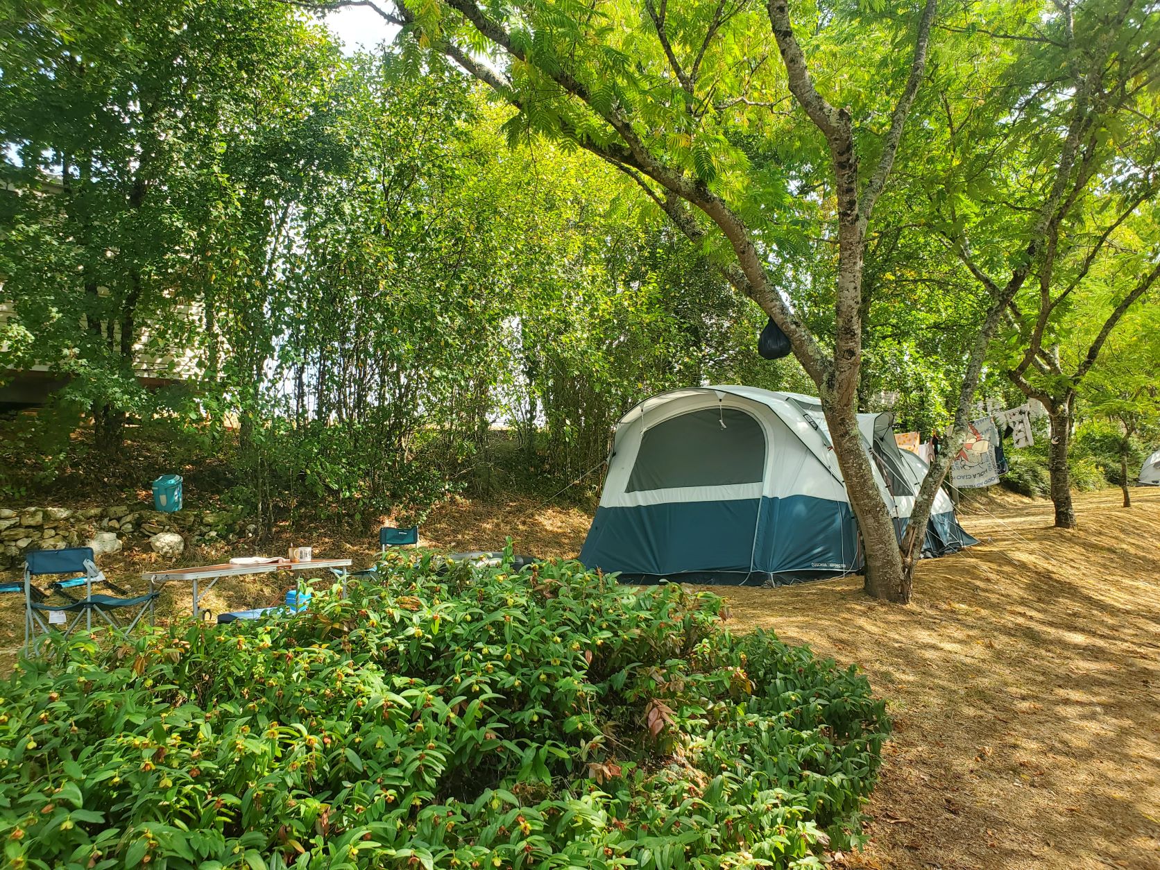 Standplaats (1 tent, caravan of camper / 1 auto)