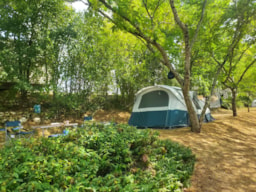 Parcela - Parcela (Tienda, Caravana, Autocaravana / 1 Coche) - Camping Nature Le Valenty