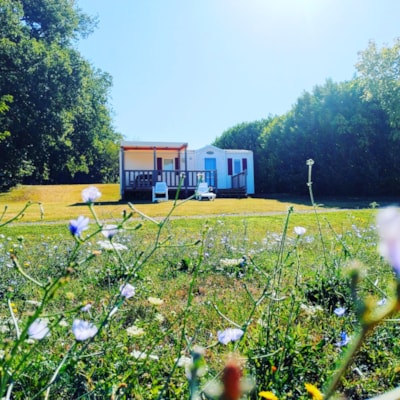Mobile-home 2 bedrooms Dordogne panoramic dishwasher