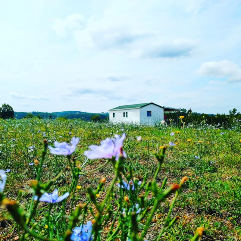 Mobil Home 2 Chambres Panoramique Dordogne Climatisé Lave -Vaiselle