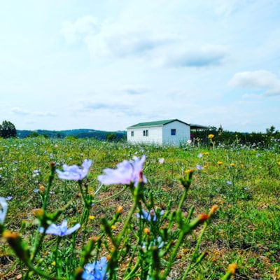 Mobile home 2 rooms panoramic Dordogne air conditioned dishwasher