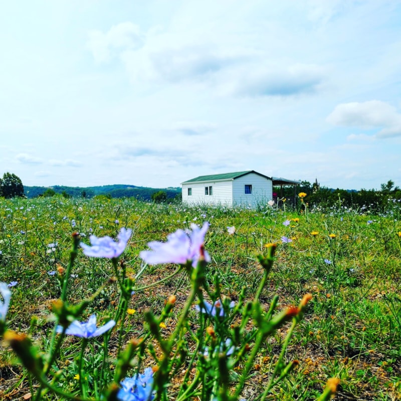 Mobil home 2 chambres panoramique Dordogne climatisé 4/6 Pers.