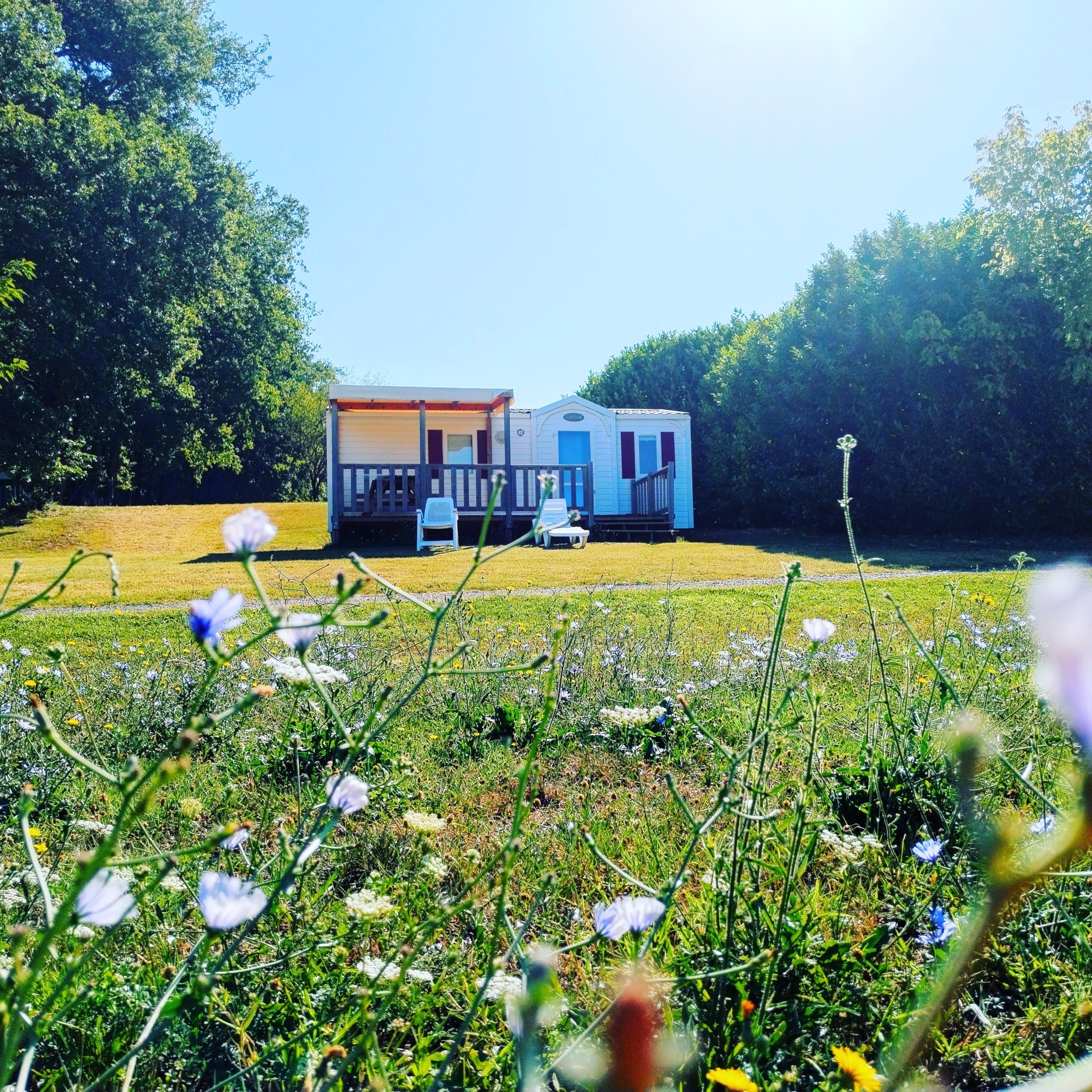 Camping Nature Le Valenty — Photo 8