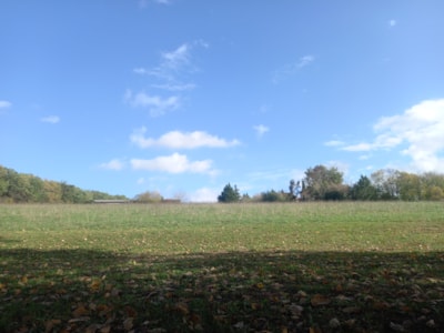 Premium pitch: wooden terrace, picnic table and private sanitary facilities
