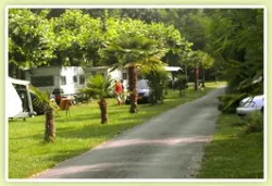 Camping LA BERGERIE - image n°1 - Camping2Be