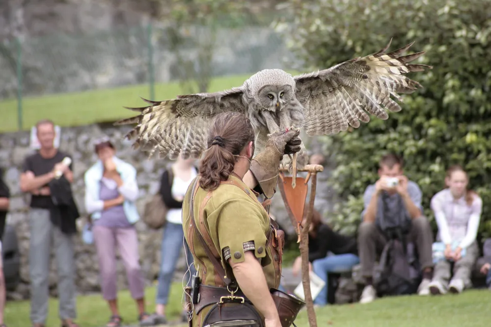 Camping D'ARROUACH Lourdes - image n°43 - UniversalBooking