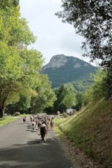 Foto #52 van Camping La Crémade