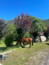 Foto #21 van Camping La Crémade