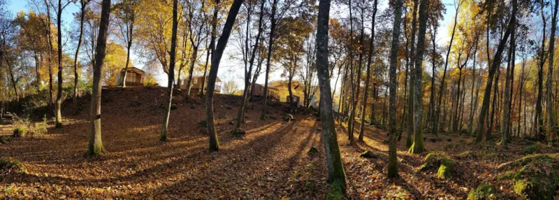 Bio Cottage Moon - 3 Chambres - 2 Sdb - "P R E M I U M"