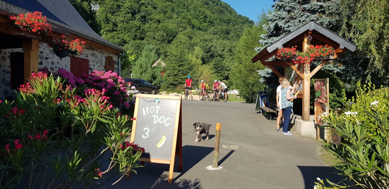 Camping La Forêt
