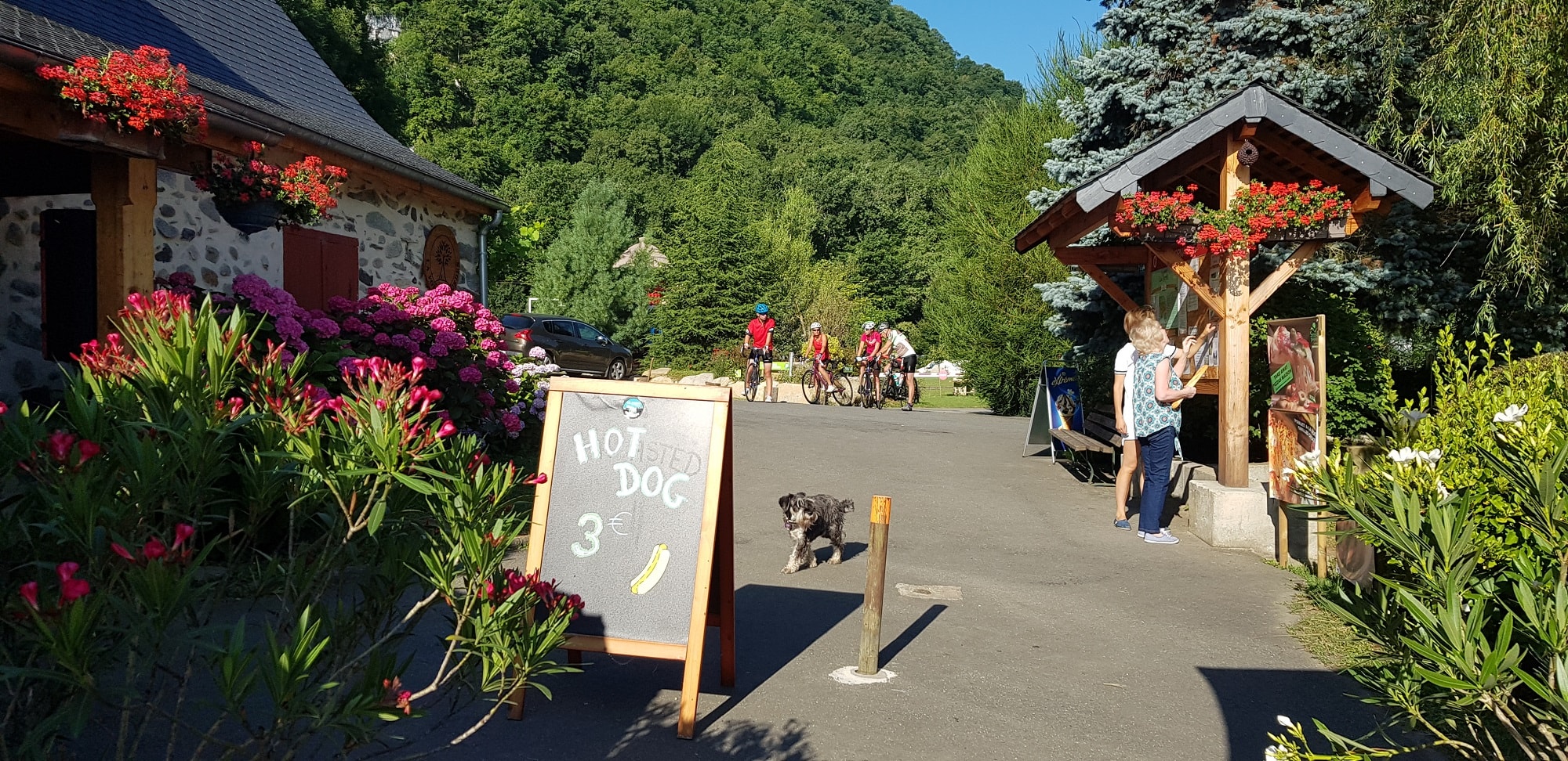 Camping La Forêt — Photo 1