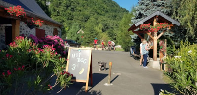 Camping La Forêt