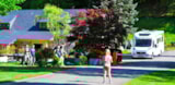 Foto #4 van Camping La Forêt