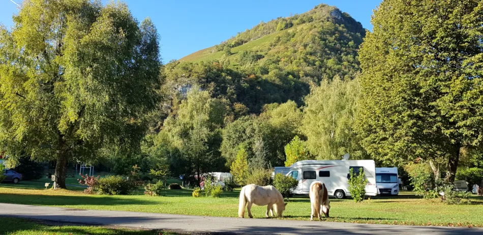 Camping La Forêt