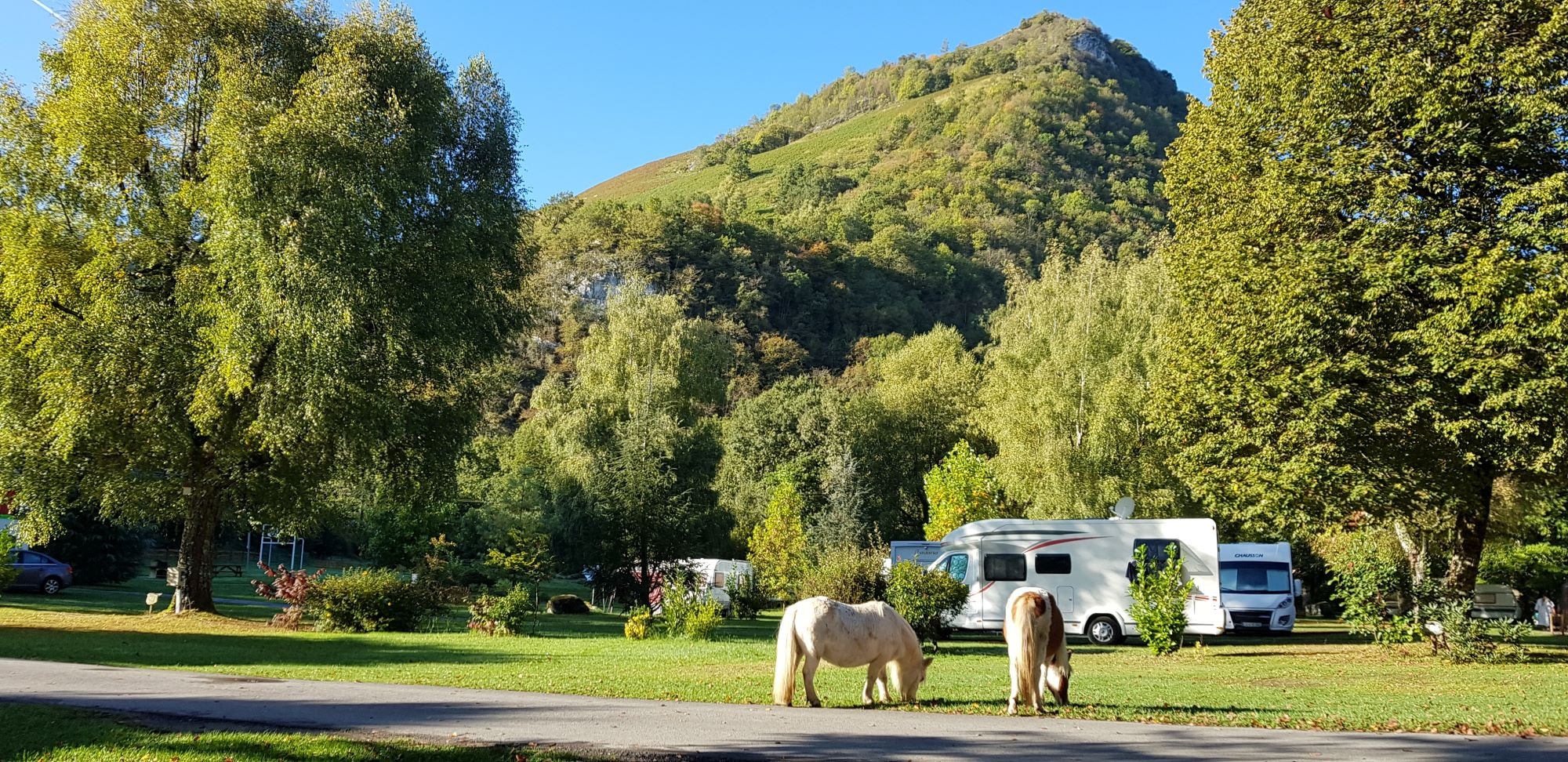 Camping La Forêt — Photo 9