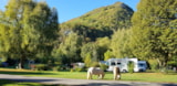 Foto #9 van Camping La Forêt