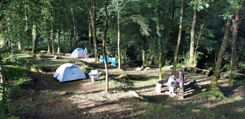 Camping La Forêt