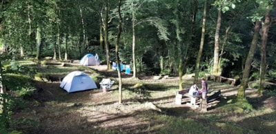 Camping La Forêt