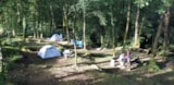 Foto #10 van Camping La Forêt