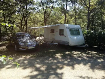 Kampeerplaats(en) - Pakket Locatie: 1 + 2 + Elektriciteit Voertuig - Camping Au Bois Dormant