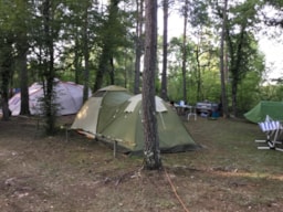 Kampeerplaats(en) - Standplaats + Voertuig + 2 Pers - Camping Au Bois Dormant