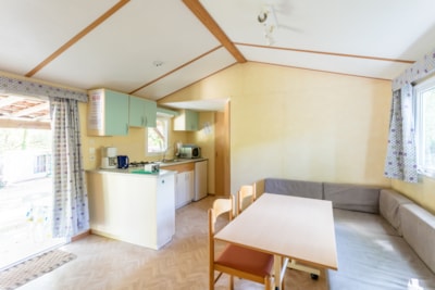 Mobile home IRM — 2