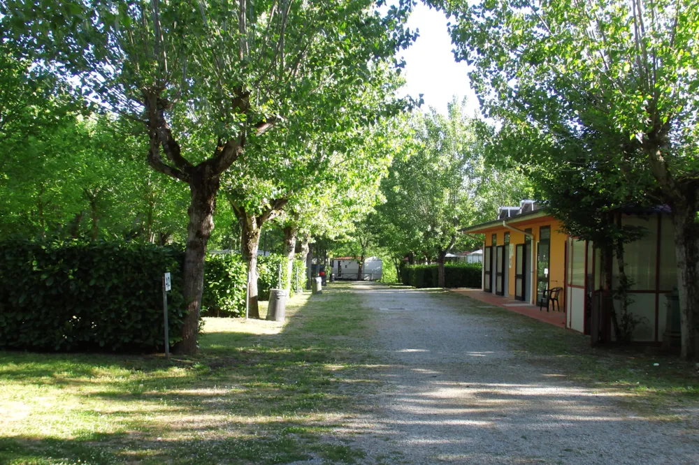 Emplacement - Emplacement - Camping Village La Chiocciola