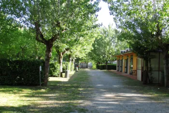 Stellplatz - Stellplätz - Camping Village La Chiocciola
