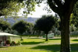 Foto #9 van Camping LE VIEUX BERGER