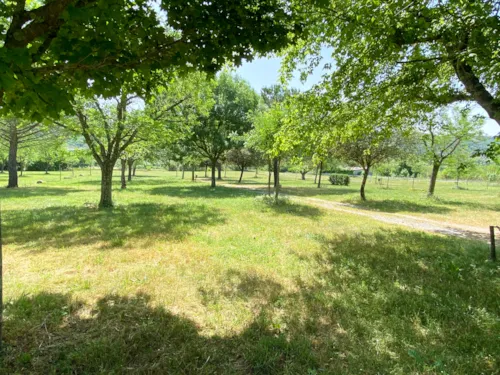 Pitch - Pitch Package (100M²) - image n°2 - Camping Le Bardou