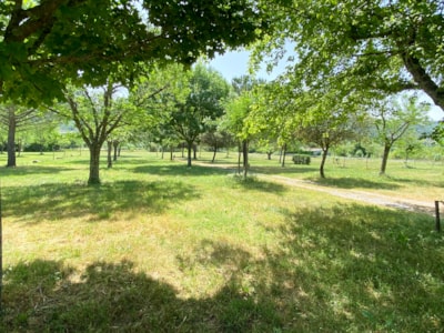 Pitch package (100m²)