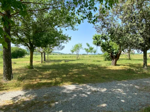 Pitch - Pitch Package (100M²) - image n°1 - Camping Le Bardou