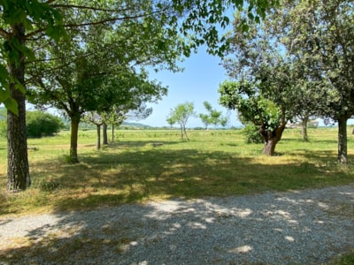 Pitch package (100m²)