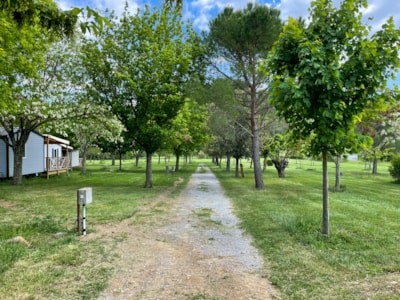 Camping Le Bardou