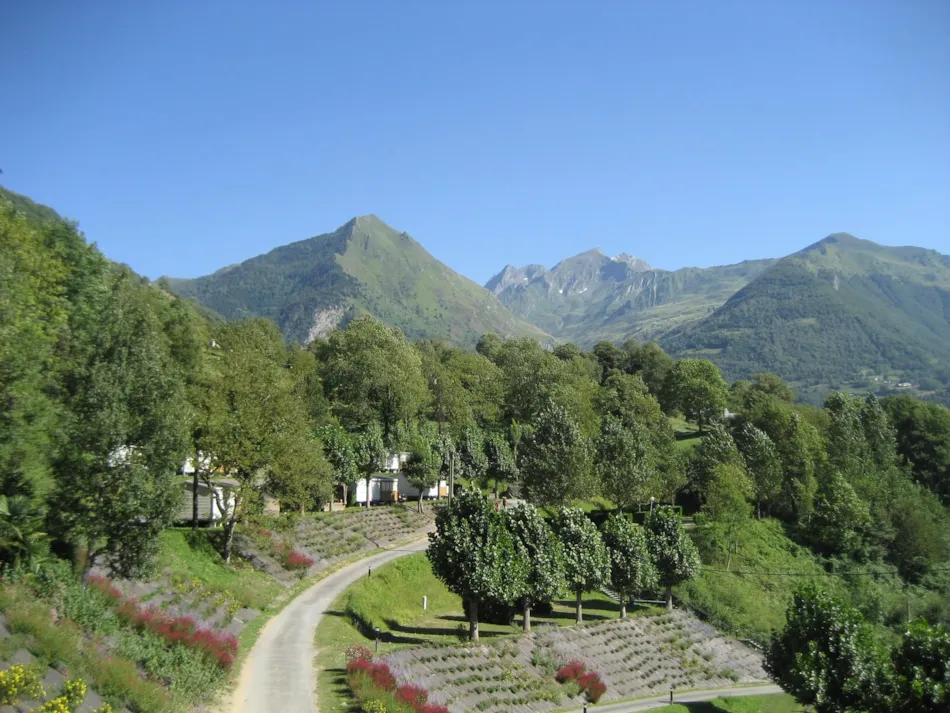 Camping INTERNATIONAL