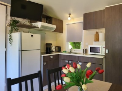 Mobile-home Standard — 3