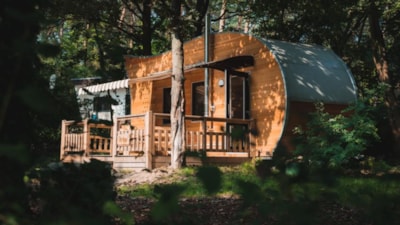 Tinyhouse — 4