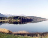 Foto #37 van Camping A l’Ombre des Tilleuls