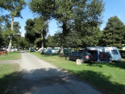 Camping A l'Ombre des Tilleuls - image n°2 - Roulottes
