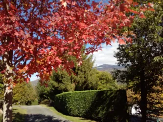 Camping LARBEY - image n°2 - Camping Direct