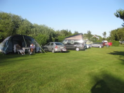 Tipperne Camping - image n°5 - Roulottes